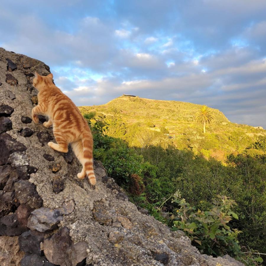 El Tanque Finca El Lance المظهر الخارجي الصورة